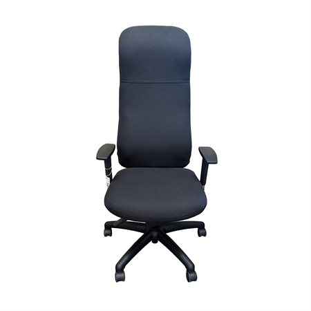 chaise ergonomique flex dossier executif