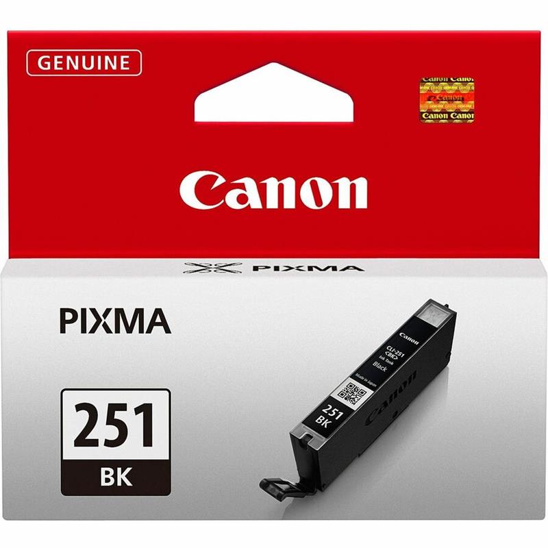Image Cartouche jet d'encre CLI-251