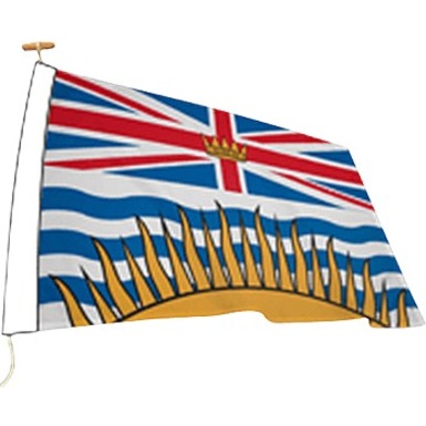 Image Drapeaux des provinces et territoires canadiens