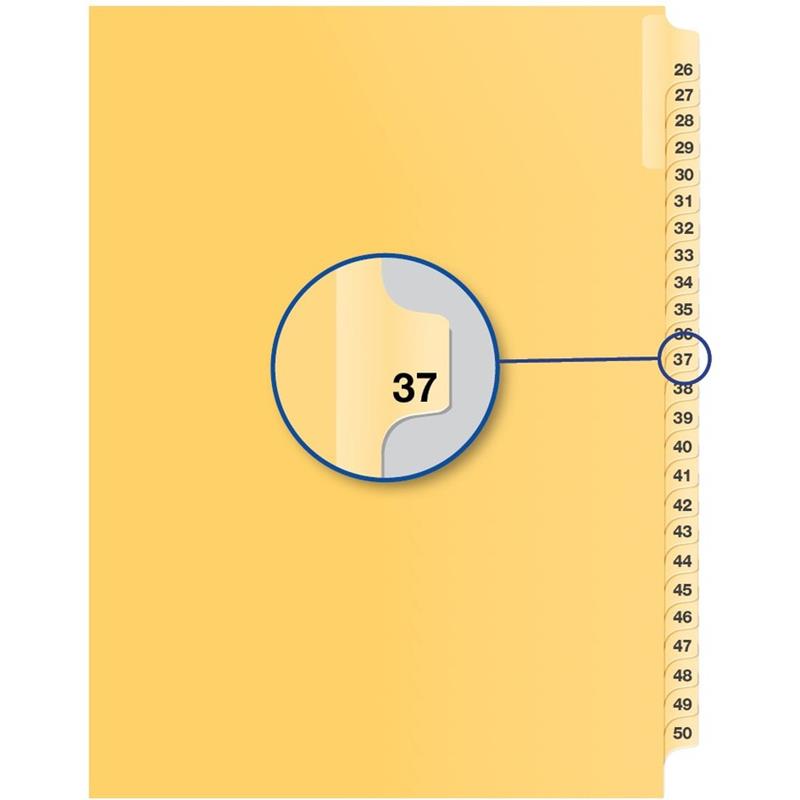 Image Index juridique individuel numérique