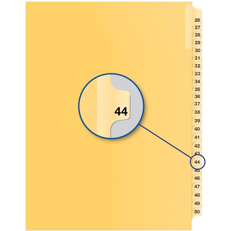 Image Index juridique individuel numérique