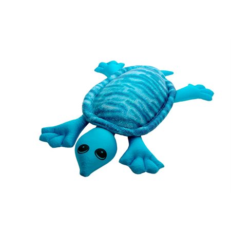 Manimo tortue turquoise 2 kg